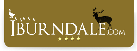 Iburndale.com